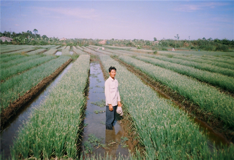 Sự chuyển mình của vùng “rốn lũ” Bắc Bình Minh