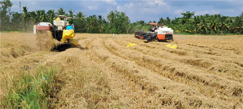 Tam Bình: Tập trung thực hiện cơ cấu lại ngành Nông nghiệp năm 2023