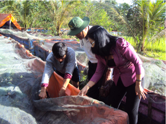 Kỹ thuật sản xuất giống cá bống tượng