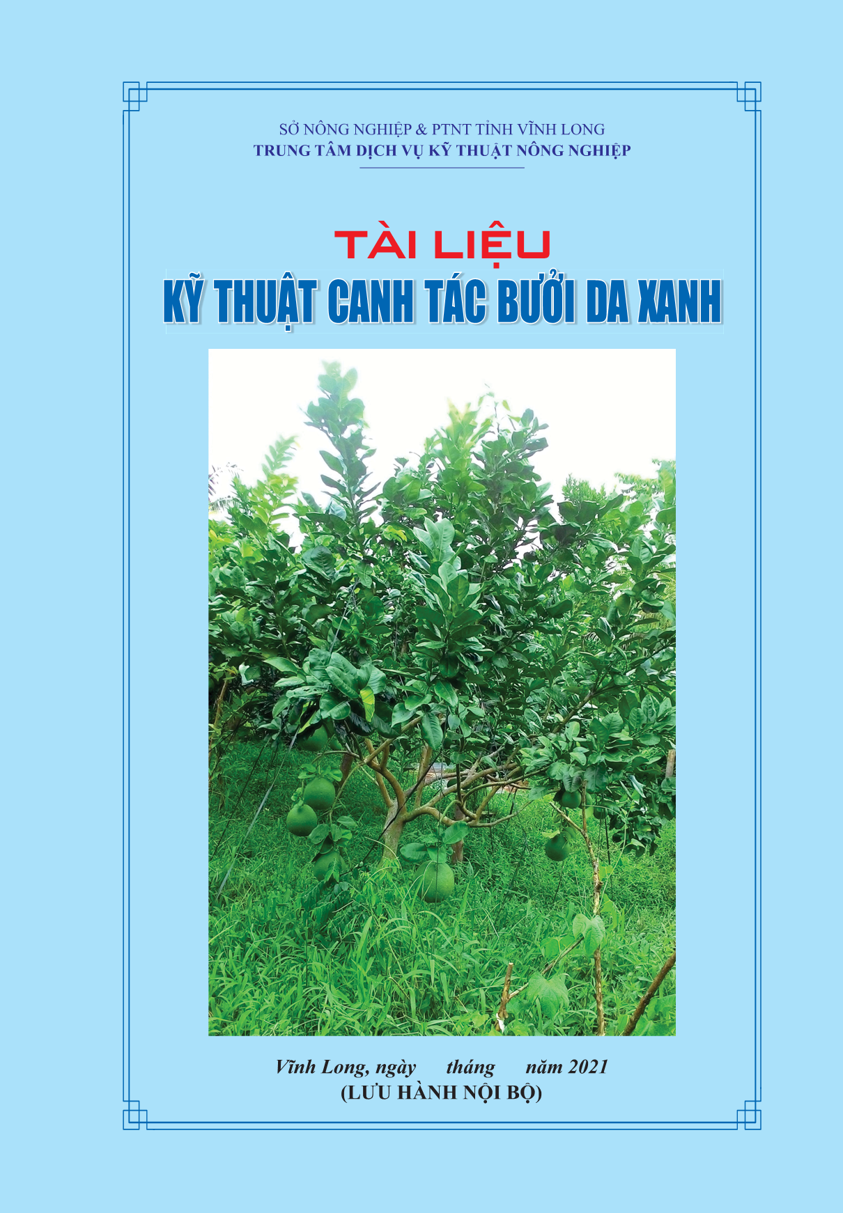 Kỹ thuật canh tác bưởi da xanh