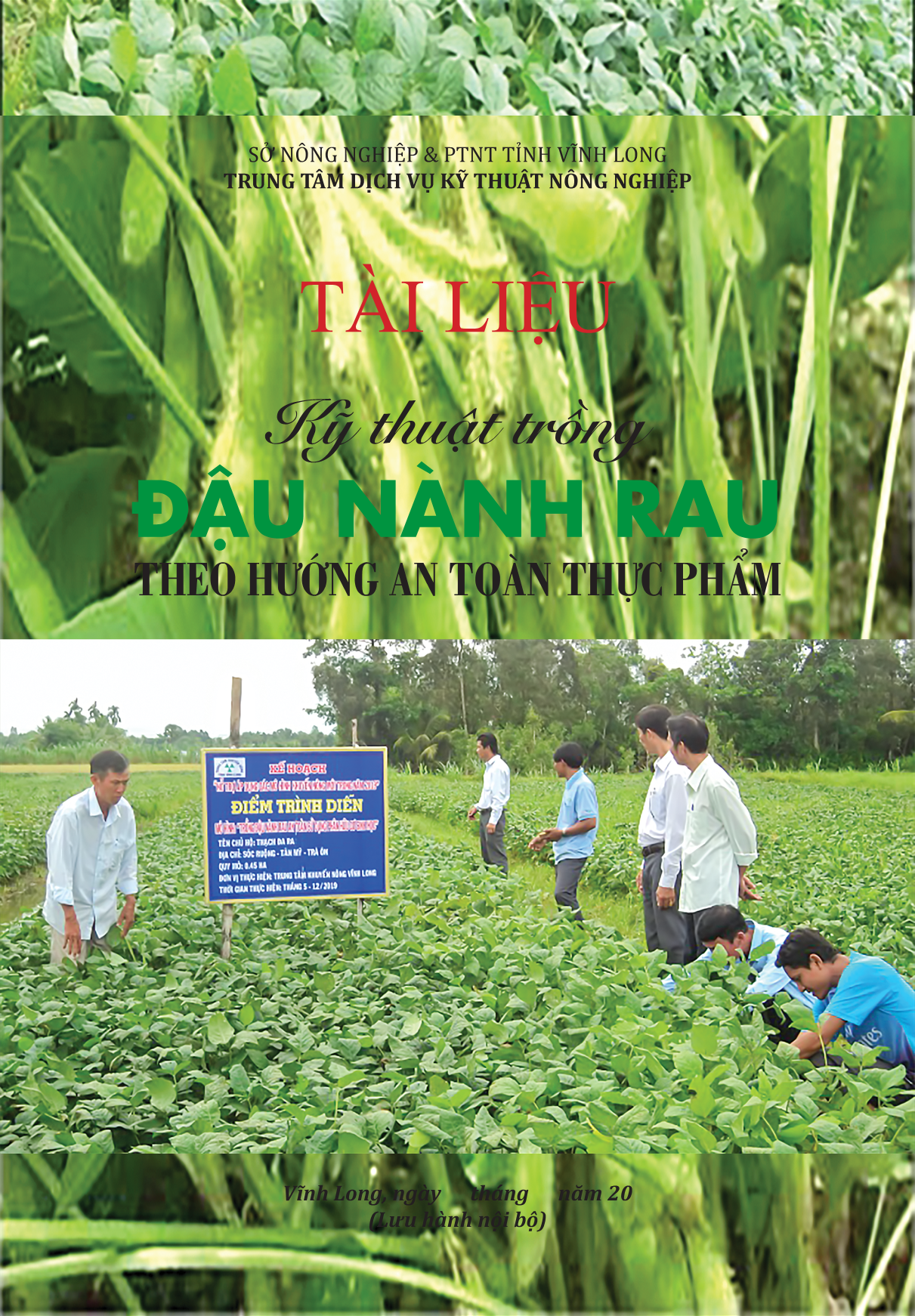 Kỹ thuật trồng đậu nành rau theo hướng an toàn thực phẩm