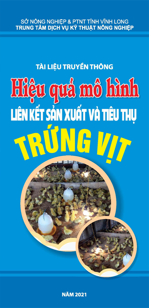 Hiệu quả mô hình liên kết sản xuất và tiêu thụ trứng vịt