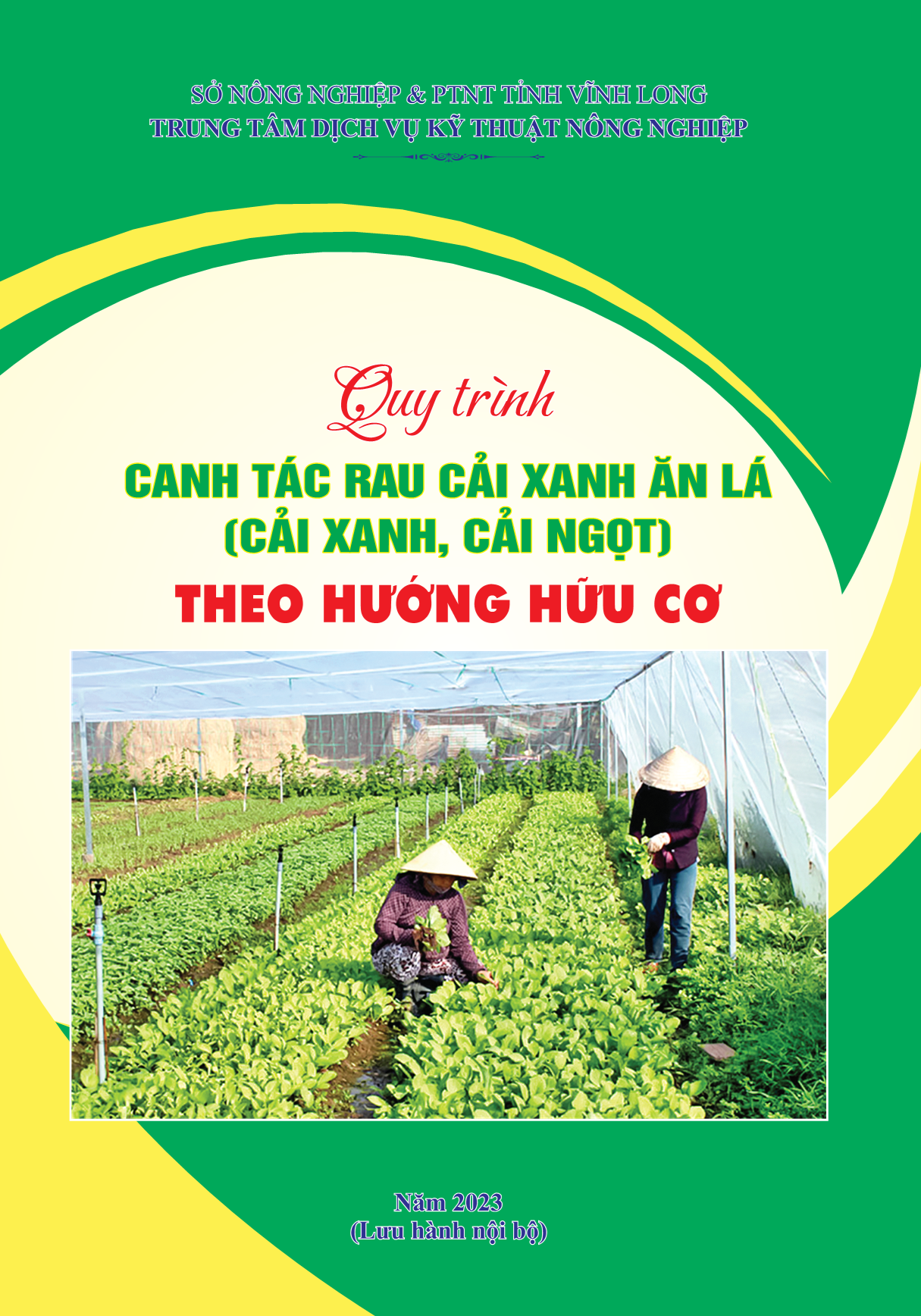 Quy trình canh tác rau cải xanh ăn lá theo hướng hữu cơ